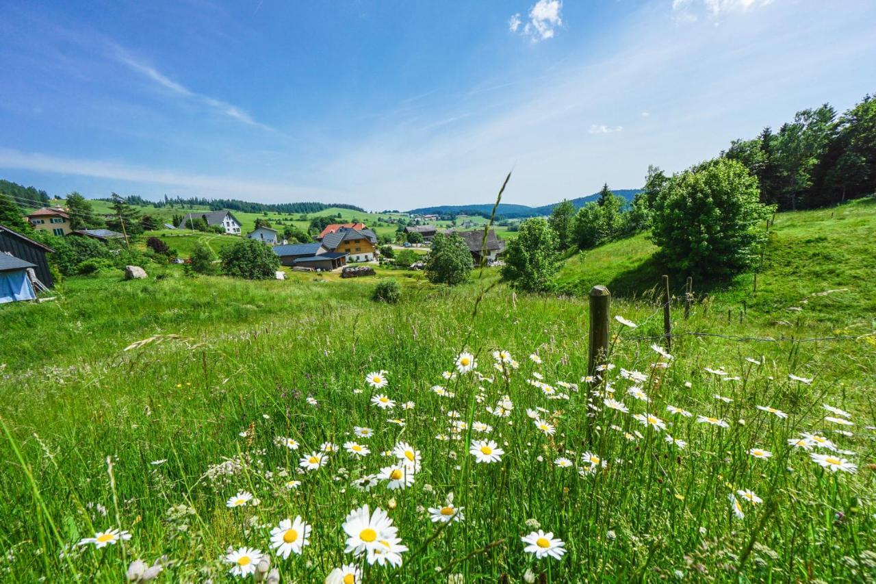 Hubertus Lodge Ibach Buitenkant foto